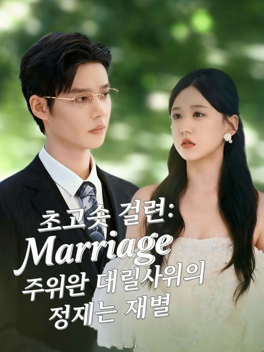 초고속 결혼: 주워온 데릴사위의 정체는 재벌