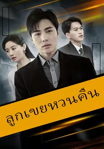ลูกเขยหวนคืน