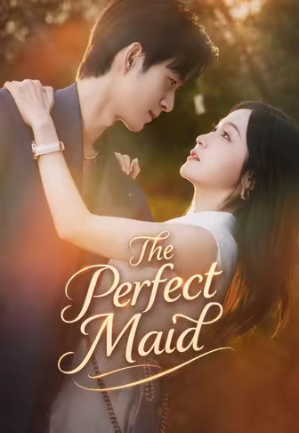 The Perfect Maid