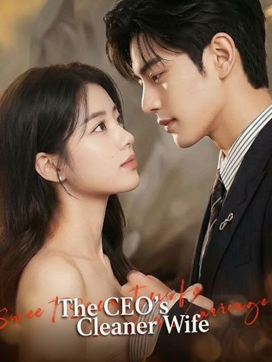 The CEO's Cleaner Wife