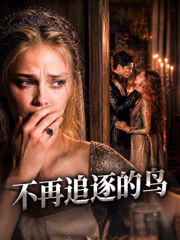 不再追逐的鸟