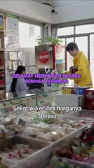 kebangkitan ayah tiri (2024)