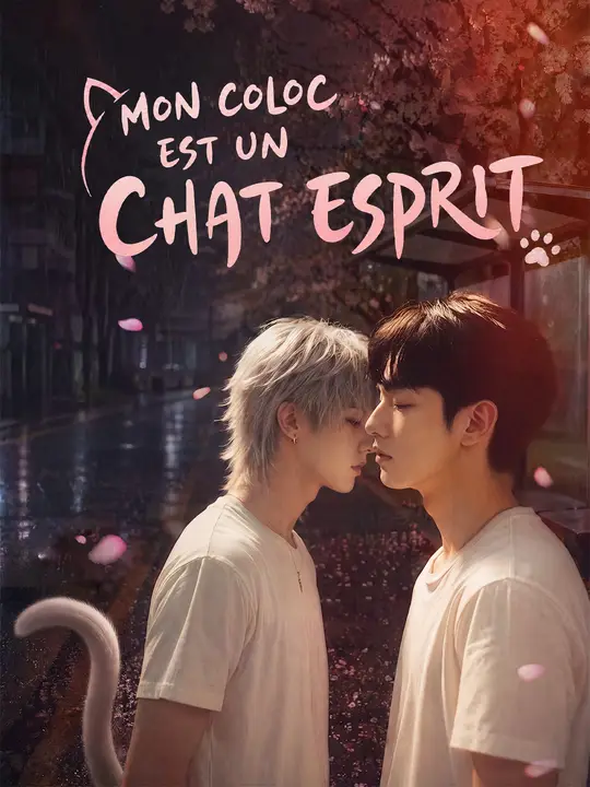 MON COLOC EST UN CHAT ESPRIT