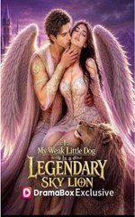my weak little dog (2024)