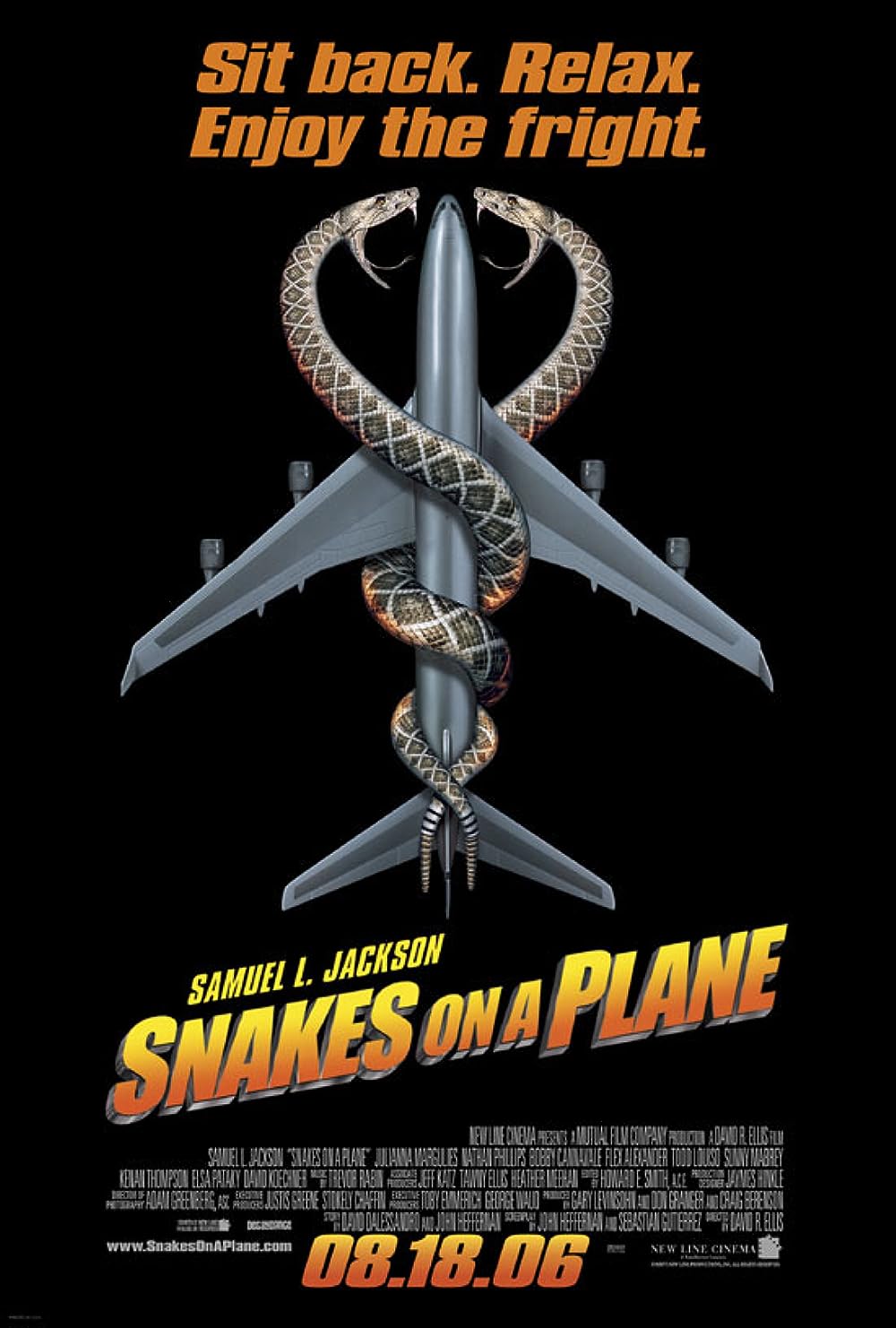 Des serpents dans l'avion (2006)