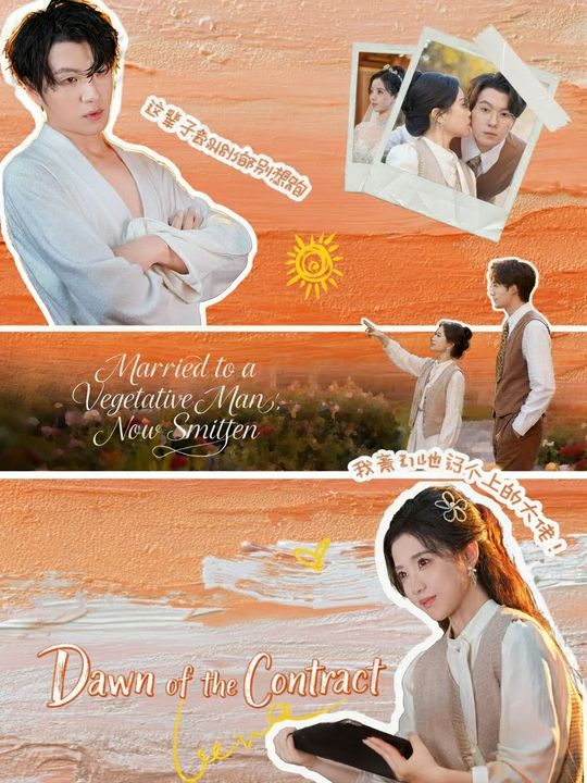 เจ้าสาวสวมรอยของทายาทนิทรา