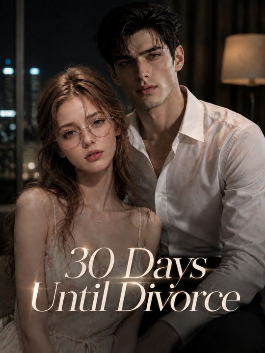 30 Days Until Divorce My CEO Ex-Husband Loved Me All Along