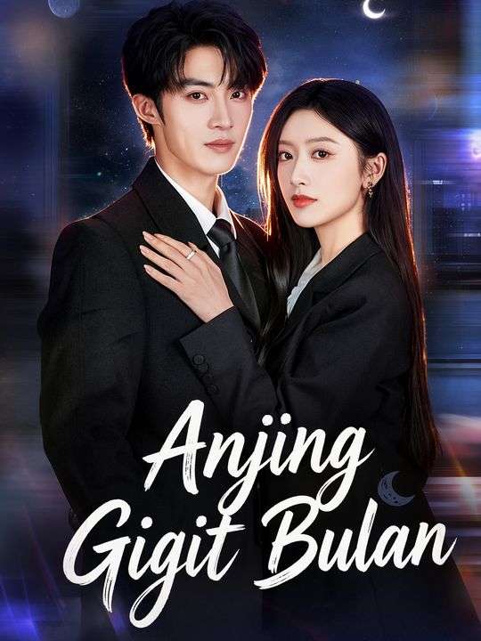 Anjing dan Bulan