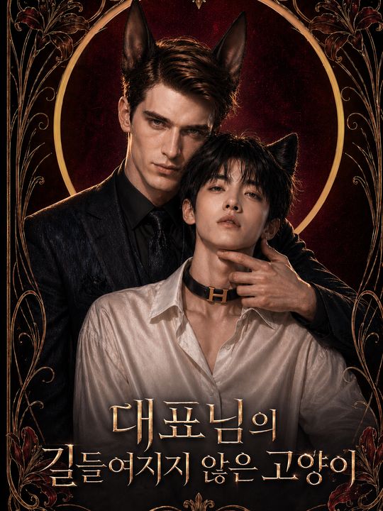 대표님의 길들여지지 않은 고양이