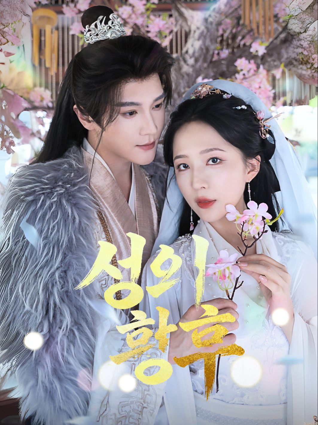 신의 황후