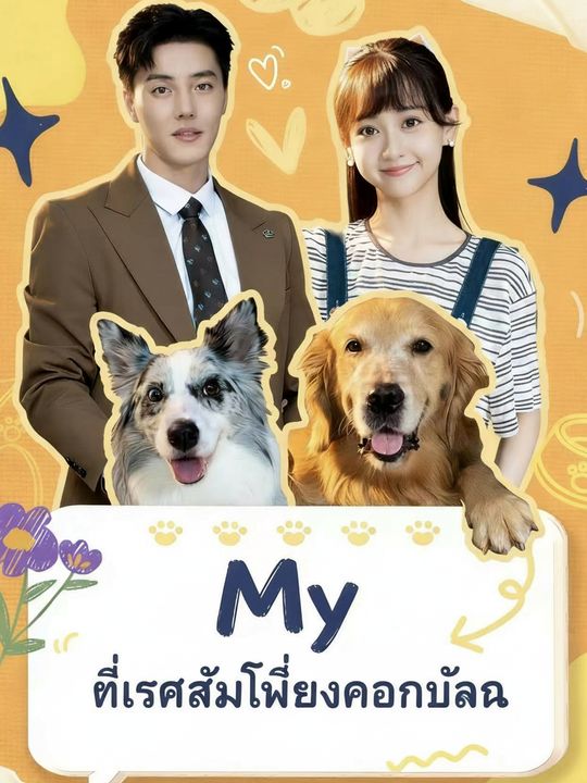 ที่รักสัตว์เลี้ยงของฉัน