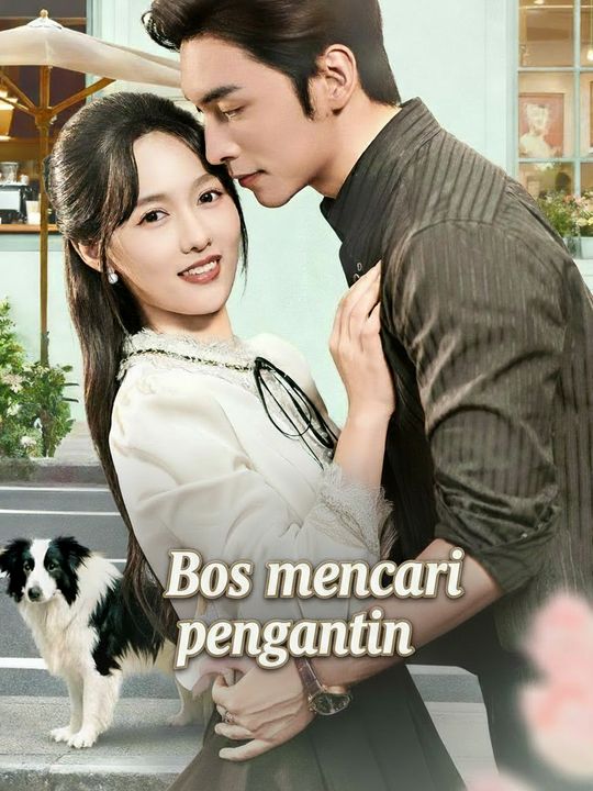Bos mencari pengantin