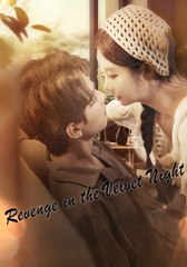 velvet night pilya (2024)