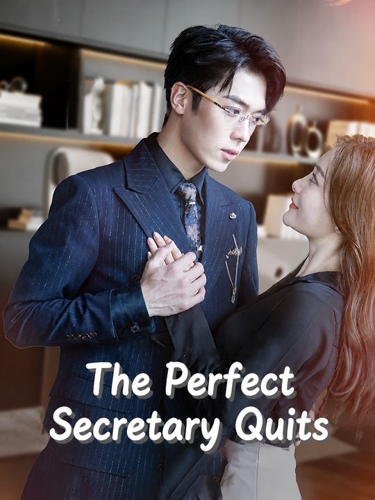 The Perfect Secretary Quits