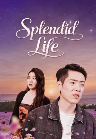 Splendid Life