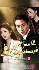 الحارس الخفي قبضة من فولاذ (2024)