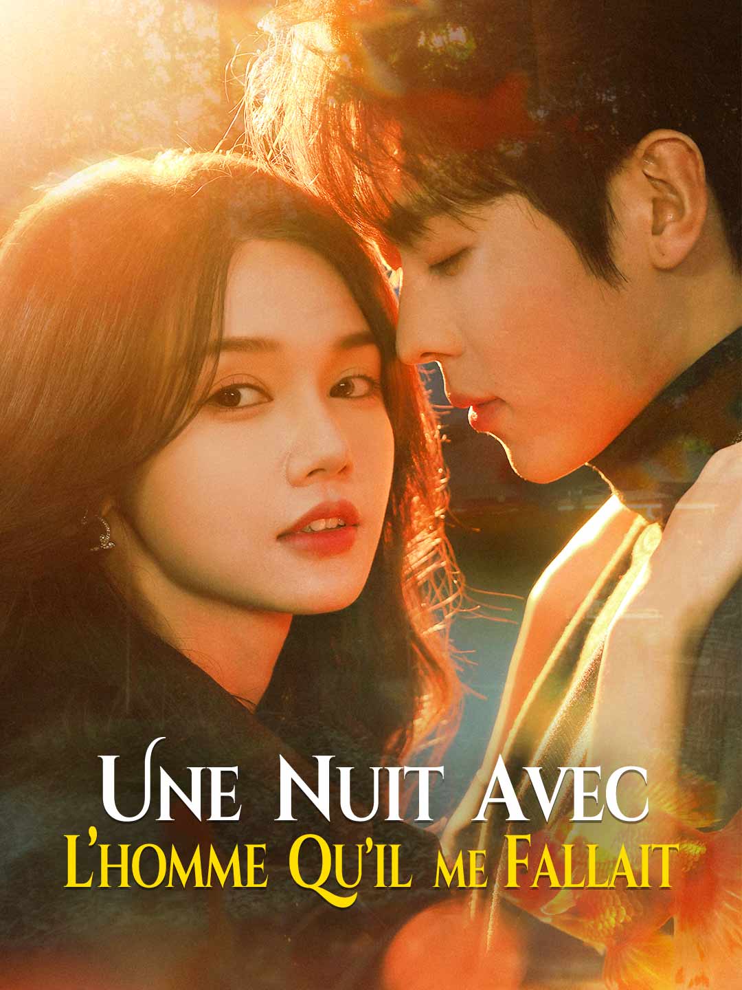 [Doublé] Une nuit avec l’homme qu’il me fallait (2024)
