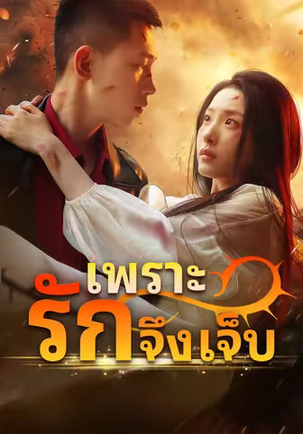 เพราะรักจึงเจ็บ