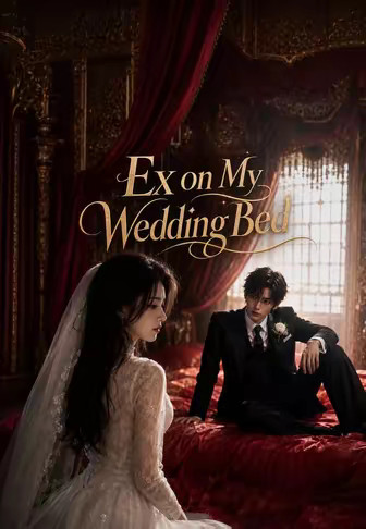 Ex on My Wedding Bed