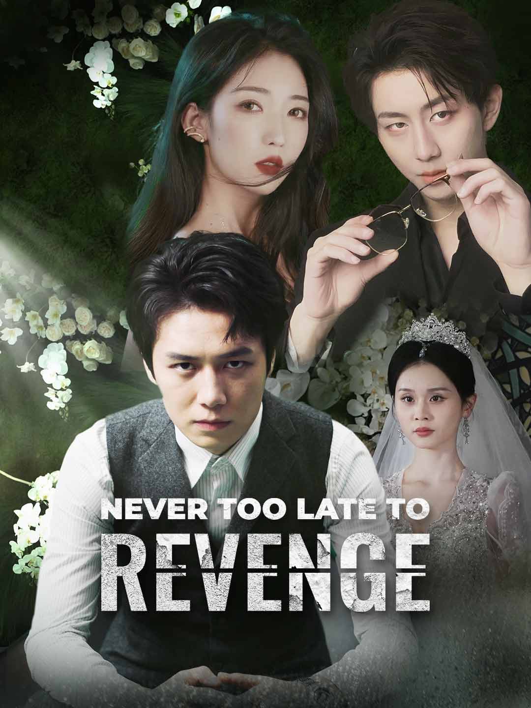 Never Too Late to Revenge (2025)