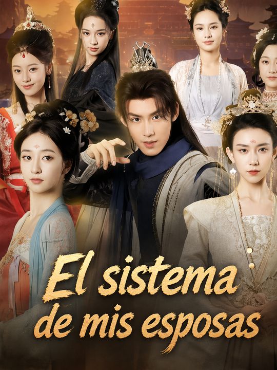 El sistema de mis esposas