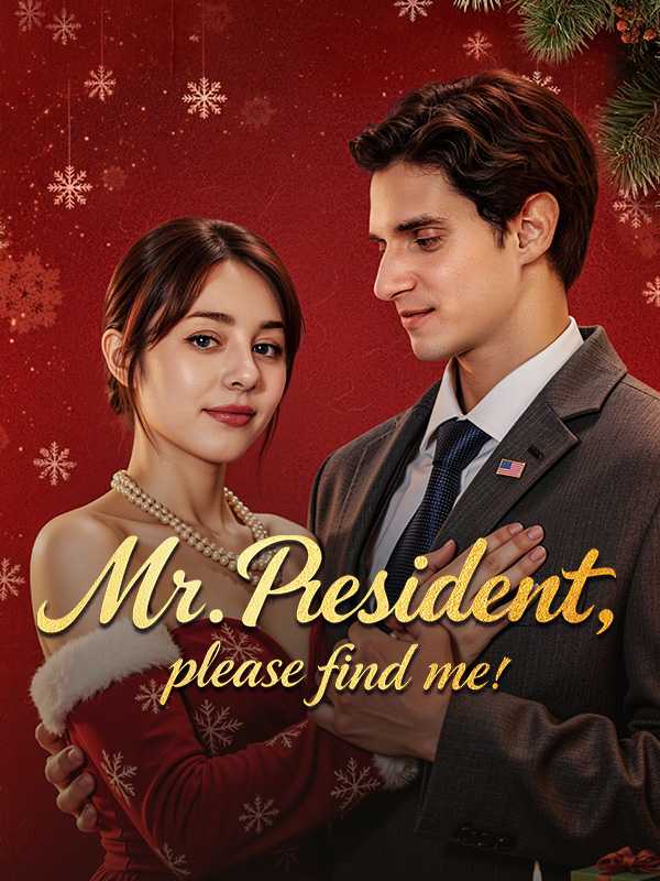Find Me, Mr. President！