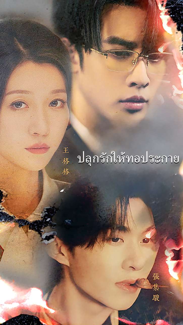 ปลุกรักให้ทอประกาย