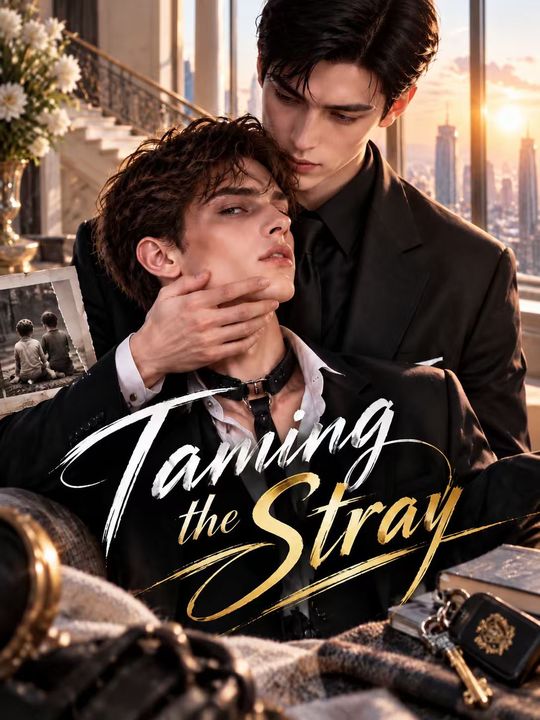 Taming the Stray