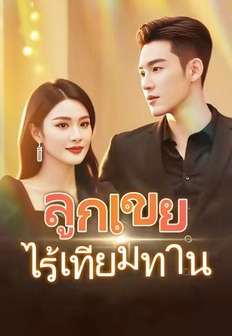 ลูกเขยไร้เทียมทาน
