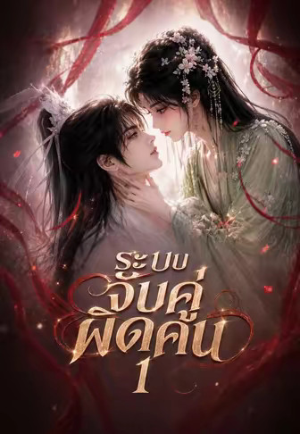 ระบบจับคู่ผิดคน 1