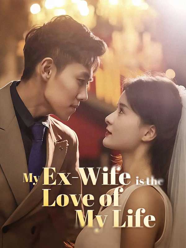 My Ex-Wife is the Love of My Life