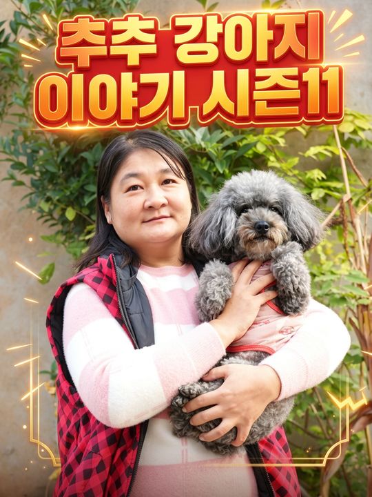 추추 강아지 이야기 시즌11