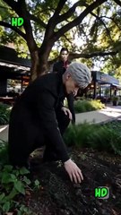 heir of the wolf (2024)