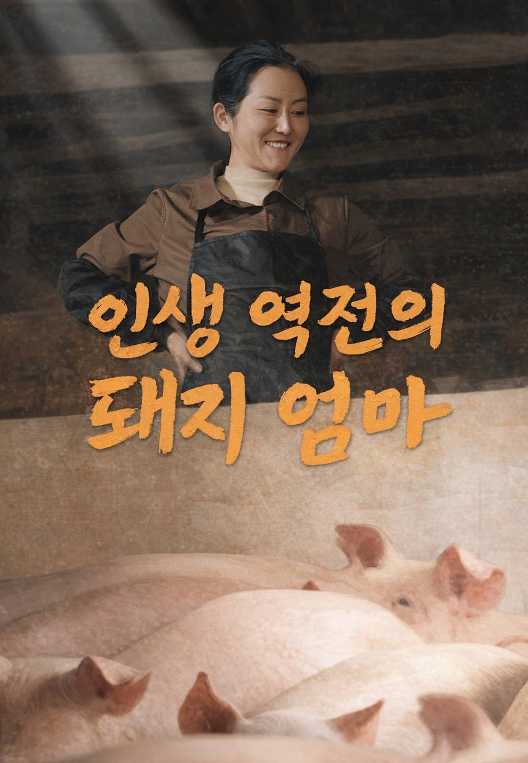 인생 역전의 돼지 엄마