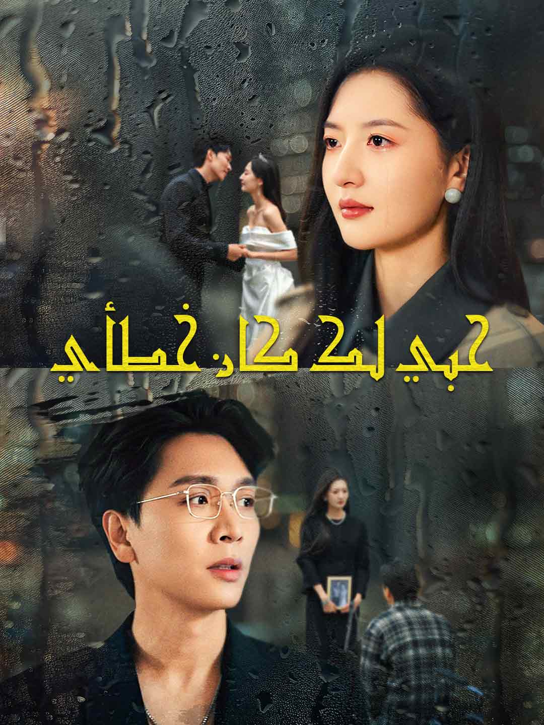 حبي لك كان خطأي (2024)
