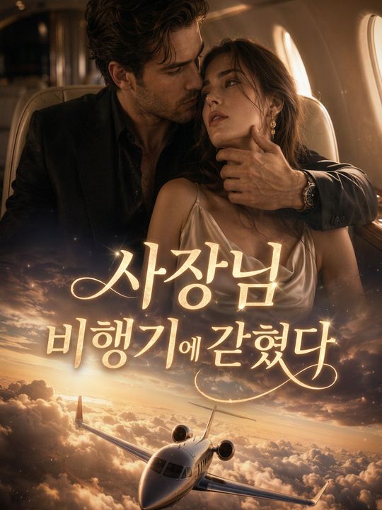 사장님 비행기에 갇혔다