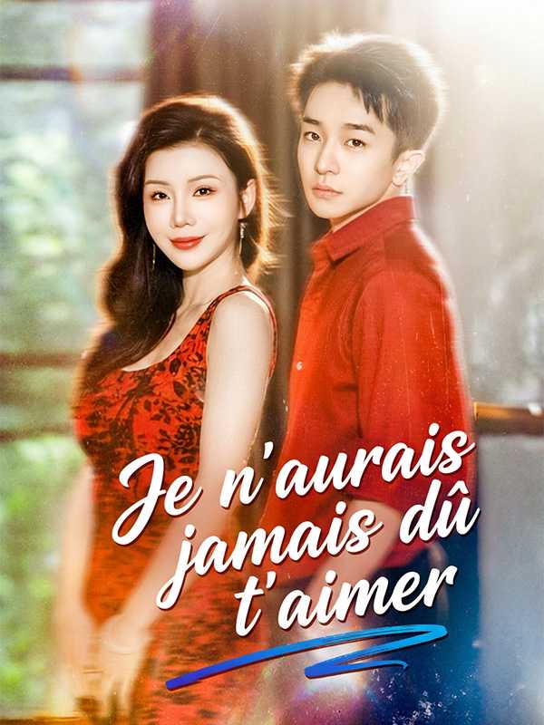 Je n'aurais jamais dû t'aimer