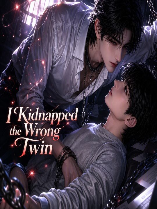 I Kidnapped the Wrong Twin