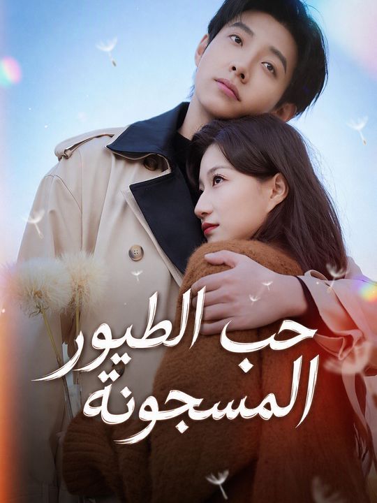 حب الطيور المسجونة