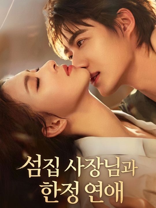 섬집 사장님과 한정 연애