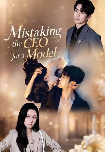 Mistaking the CEO for a Model