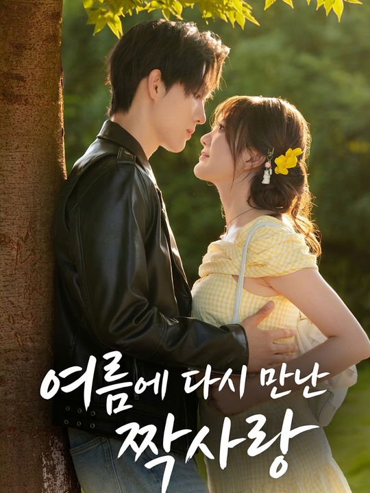 여름에 다시 만난 짝사랑