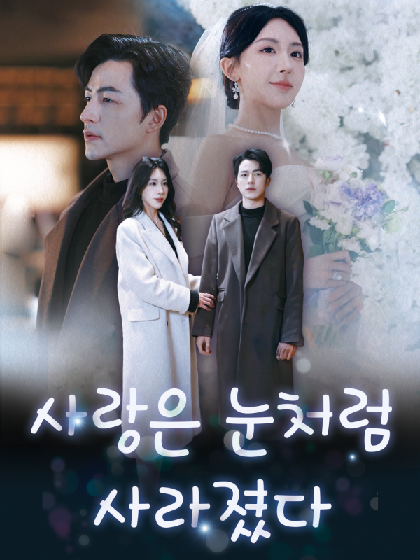 사랑은 눈처럼 사라졌다
