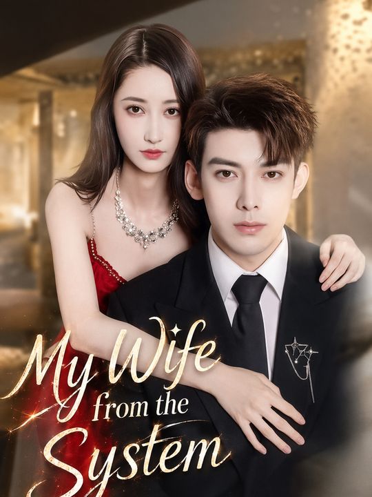 My Wife from the System