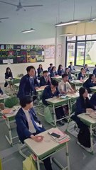 the mafia teacher (2024)