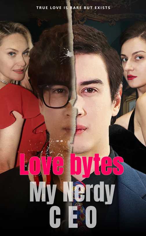 Love Bytes: My Nerdy CEO