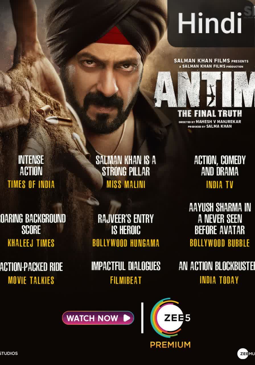 Antim: The Final Truth [Hindi] (2021)