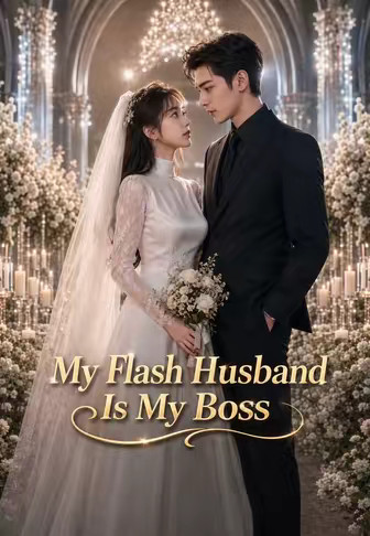 My Flash Husband Is My Boss