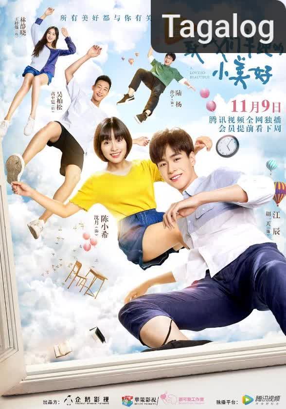 A Love So Beautiful [Tagalog] (2017)
