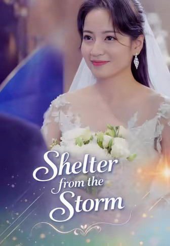 Shelter from the Storm